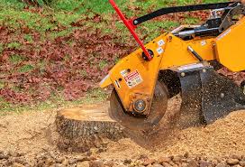 Seasonal Cleanup (Spring/Fall) in East Bakersfield, CA